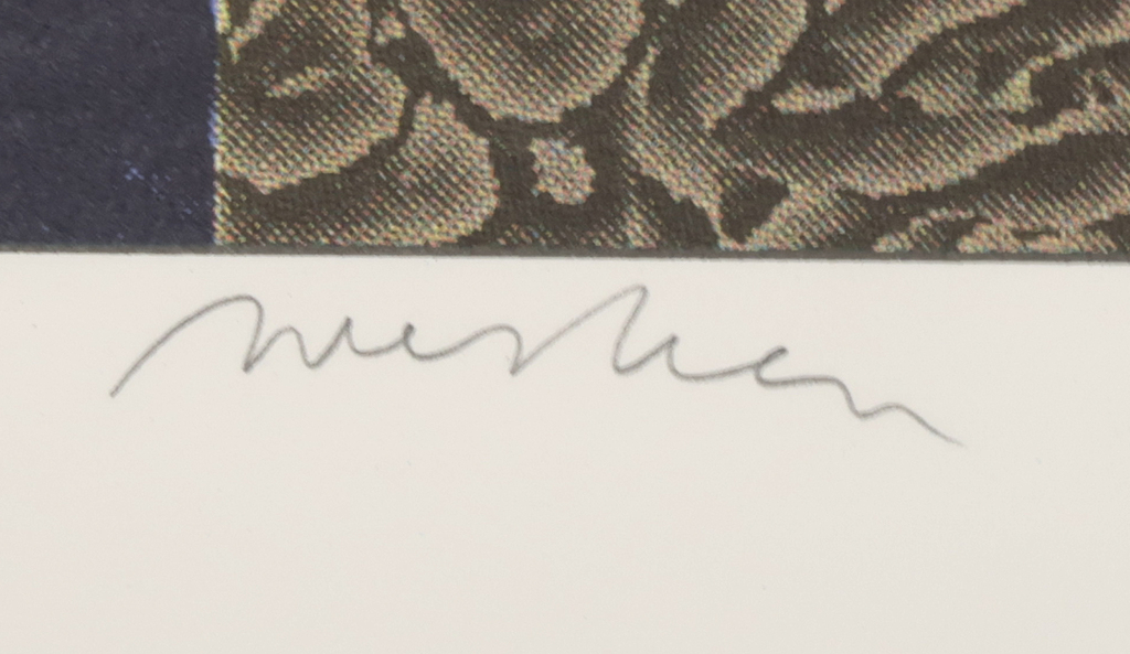 Ramon van der Werken: Giclee, Z.T.  kopen? Bied vanaf 1!