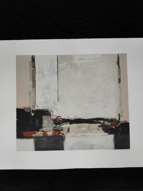 Ron van der Werf, zeefdruk op papier, Titel: Terra II verkocht voor € 40!