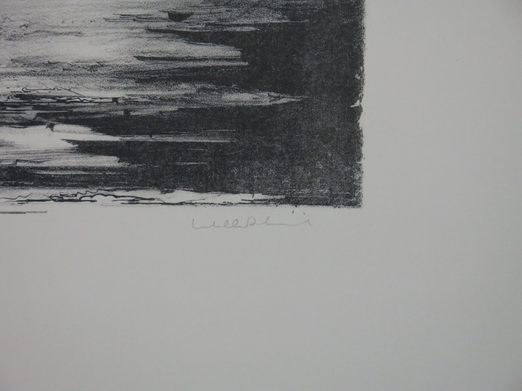 Dirkje Kuik: Litho, Pinokkio en voyage kopen? Bied vanaf 70!