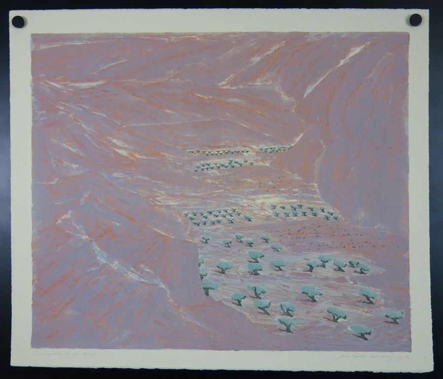 Jan Hein van Rooij: Litho, Campo di Nihar kopen? Bied vanaf 1!