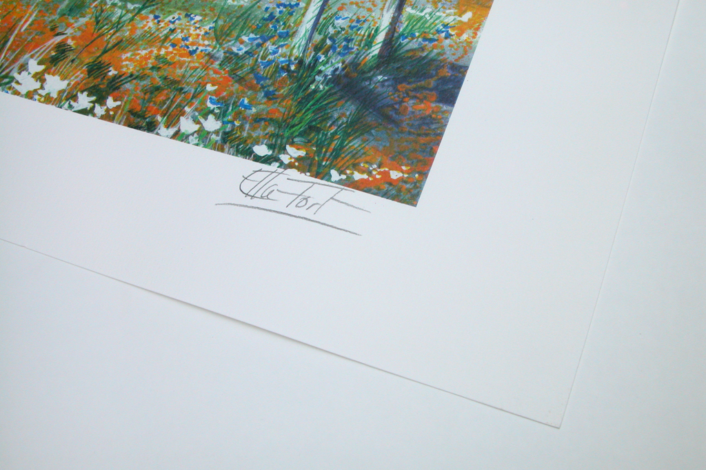 ELLA FORT, litho, ‘La vie du berger au Camargue', gesign. kopen? Bied vanaf 10!