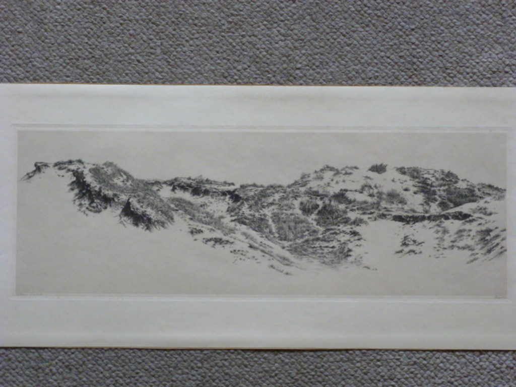 Dirk Harting - ets - Duinlandschap verkocht voor € 45!