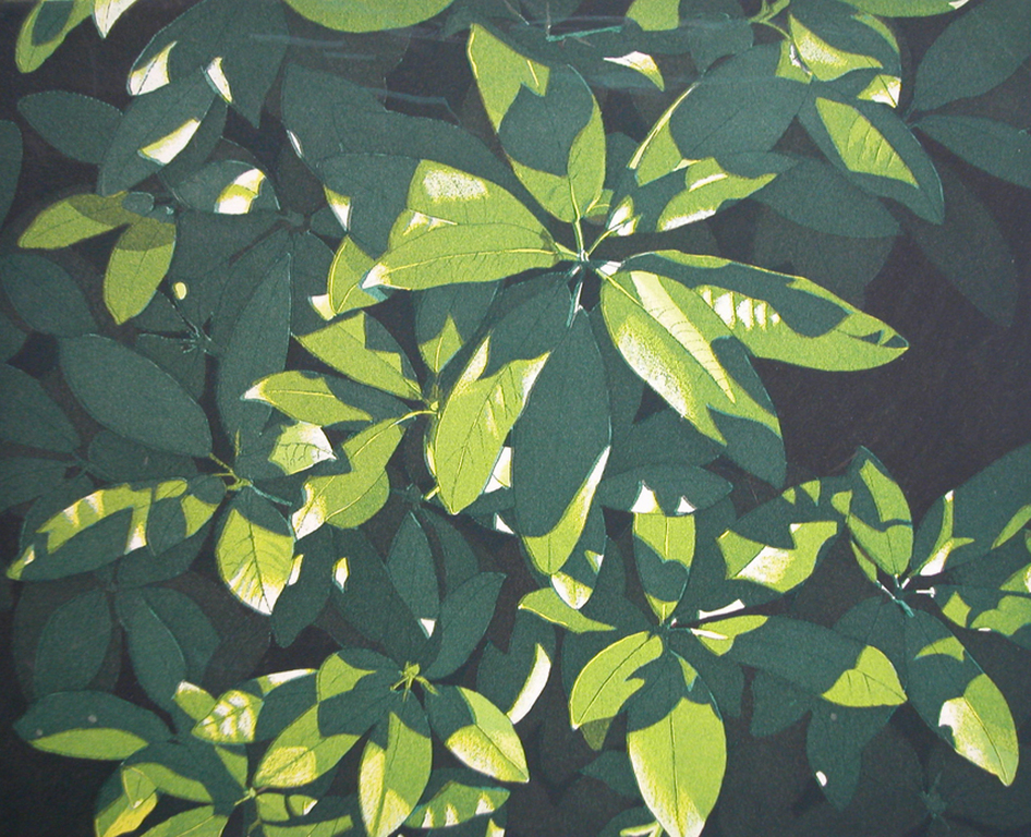 Hans van Liempt, geen titels, ets kopen? Bied vanaf 40!