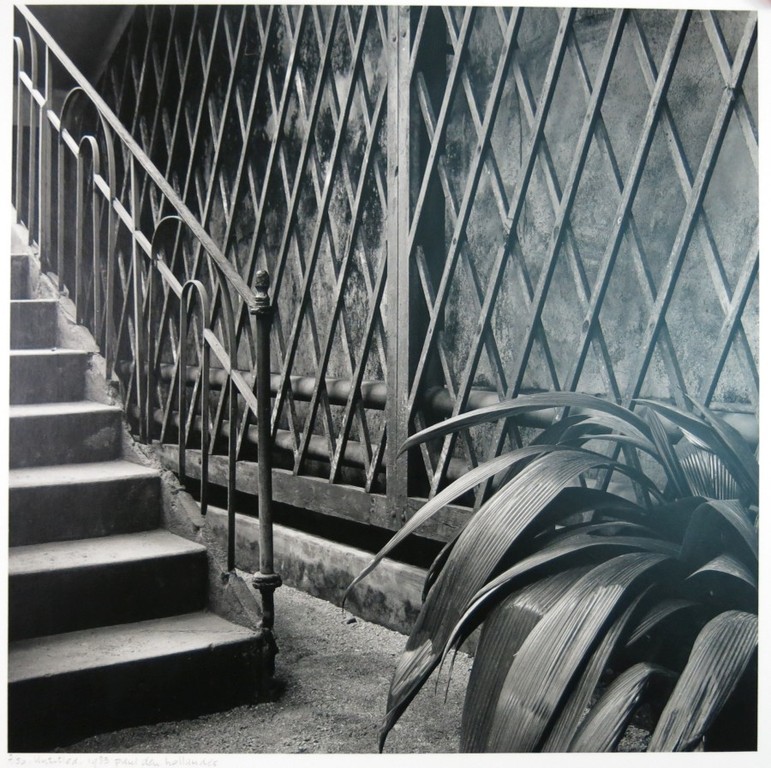 Paul den Hollander: Foto, Untitled kopen? Bied vanaf 1!