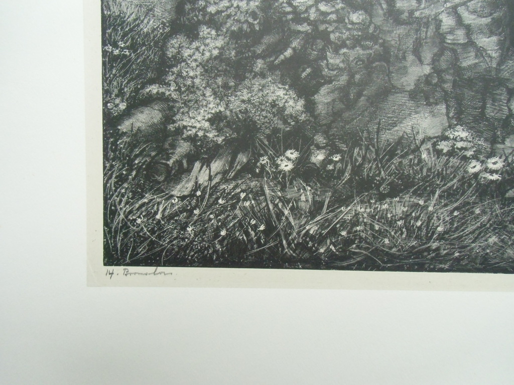 BOOMSCHORS   ///   LITHO VAN AART VAN DOBBENBURGH kopen? Bied vanaf 30!