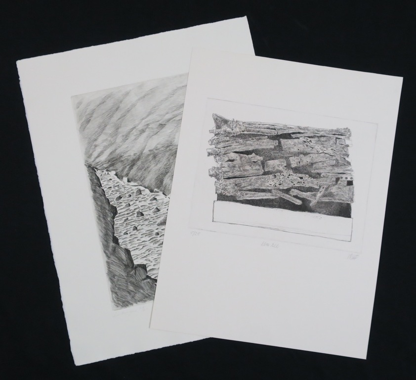 Lot met 2 werken: o.a Jan Hein van Rooy, Ets, Rivierlandschap kopen? Bied vanaf 1!