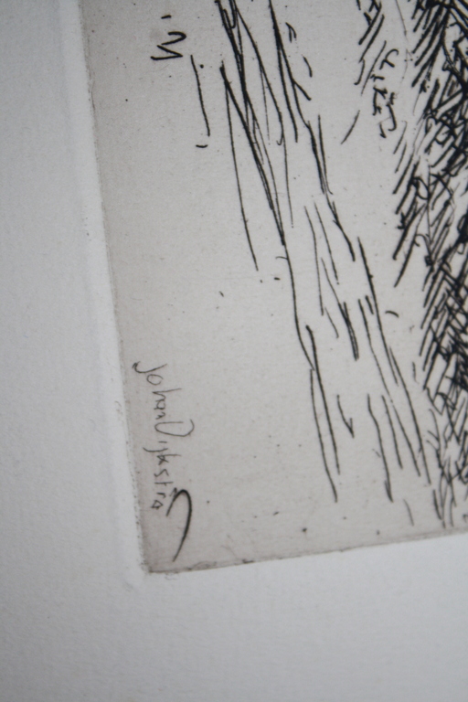 JOHAN DIJKSTRA  - GRONINGER PLOEG  - ETS kopen? Bied vanaf 120!