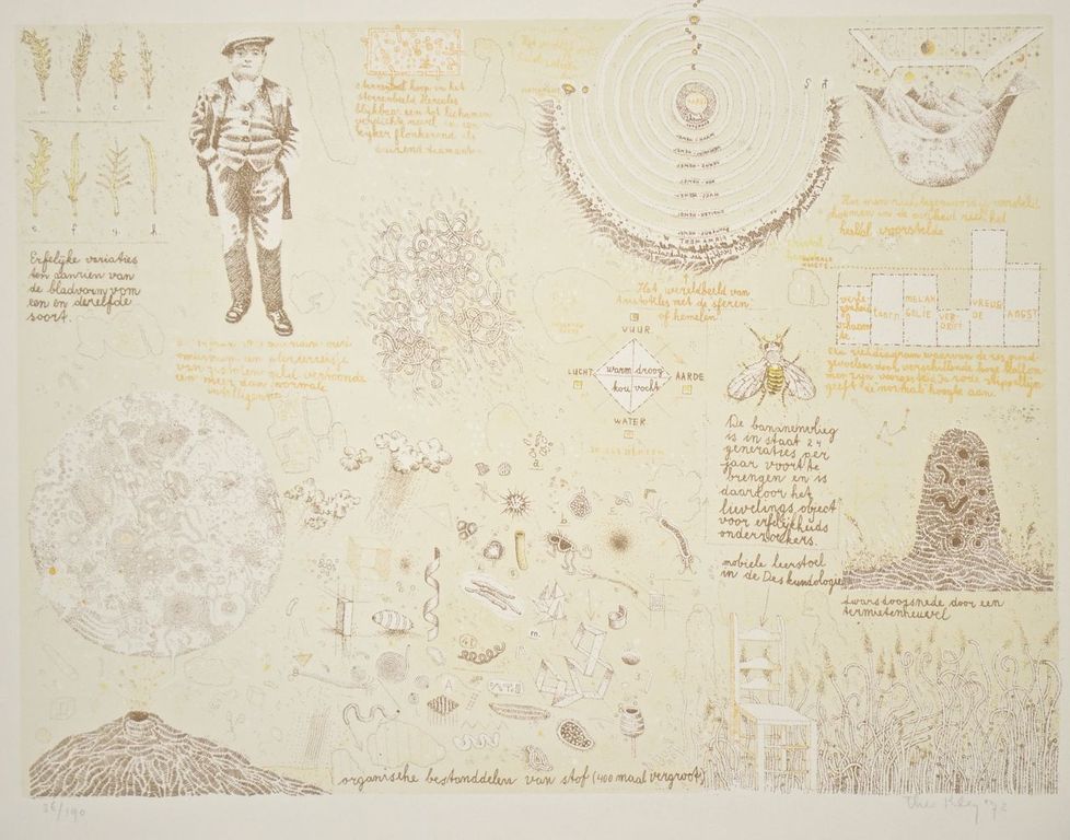 Theo Kley: Litho. De bananenvlieg kopen? Bied vanaf 1!