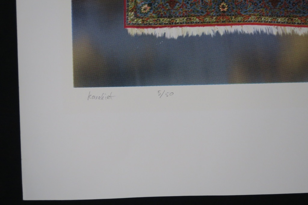 Patrick Bergsma: Zeefdruk, Karekiet kopen? Bied vanaf 1!