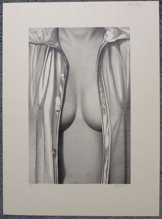 Roger Wittevrongel, litho kopen? Bied vanaf 95!