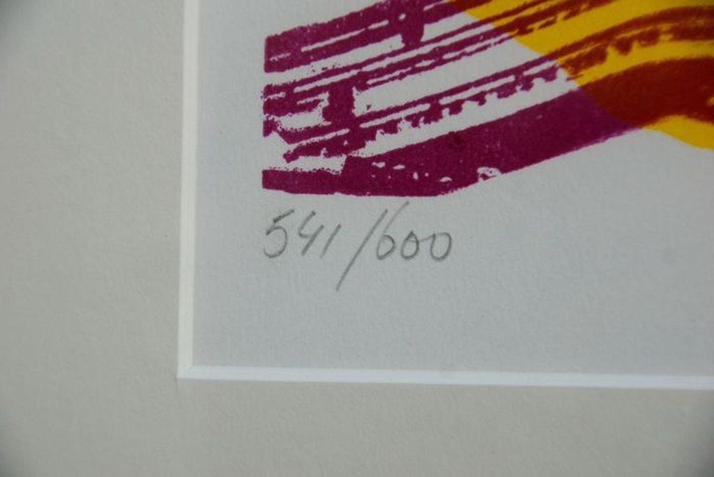Ruimtelijke ordering in het jaar 2022 - gesigneerde lithografische druk  kopen? Bied vanaf 65!