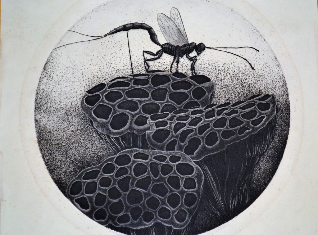 Gerard van Rooy, ets, mug verkocht voor € 50!