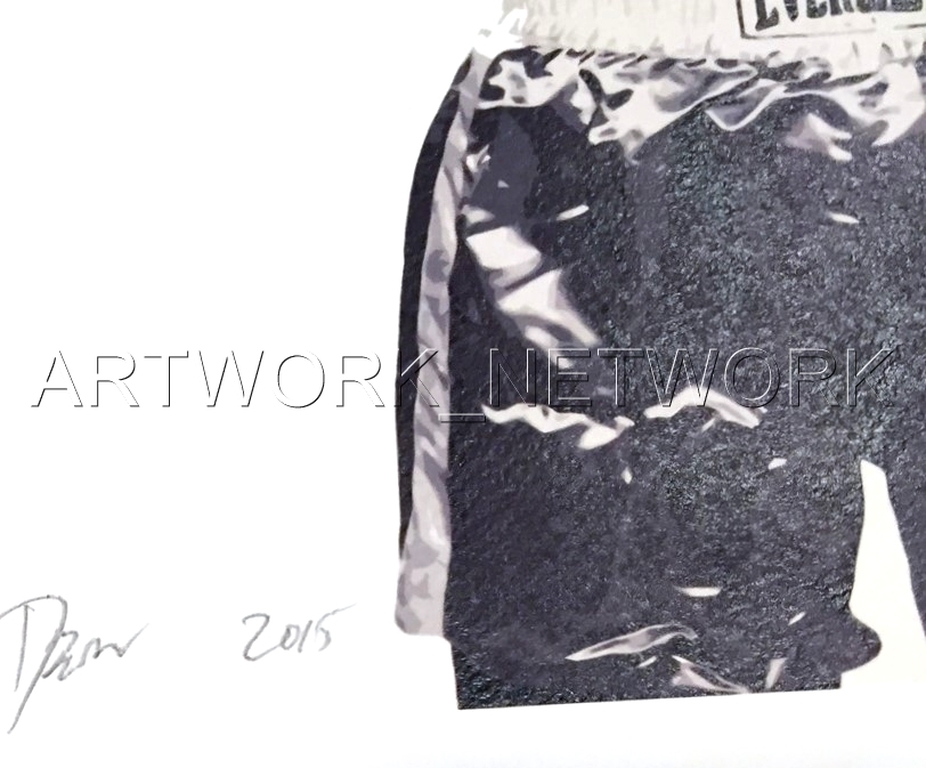 DEATH NYC "Fight B" n°19/100 - Signed with COA (Limited Edition Prints 100) kopen? Bied vanaf 25!