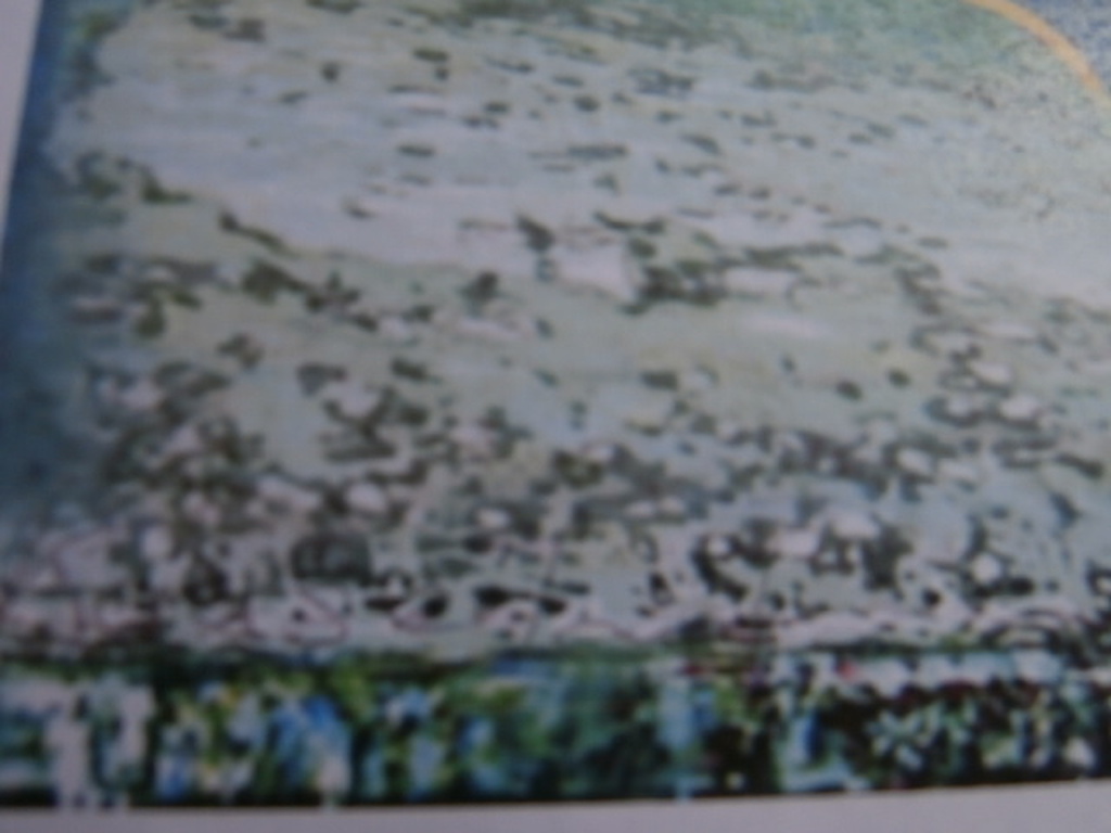 irene sminia * kaaseiland * digitale grafiek kopen? Bied vanaf 49!