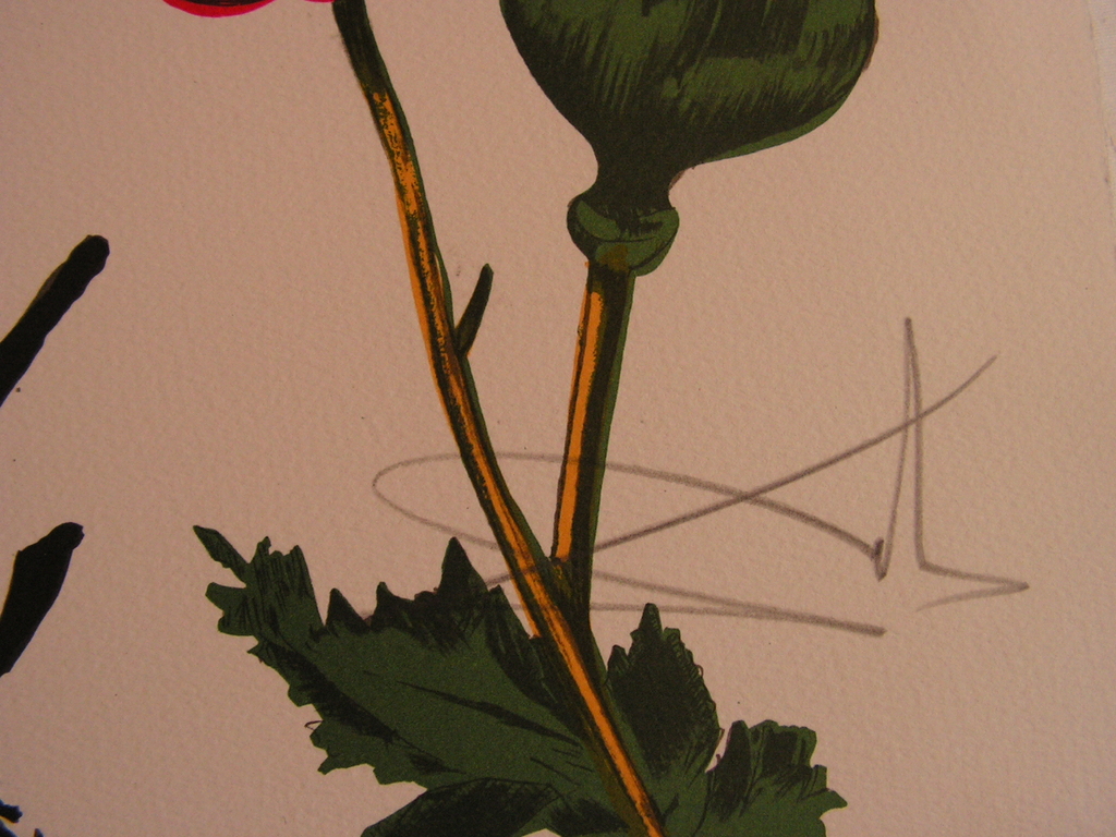 SDalvador Dali - lithografie  -  'Herfst' - gesigneerd en genummerd - oplage 300 kopen? Bied vanaf 425!