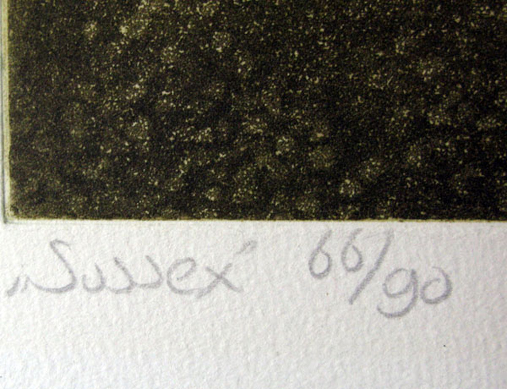 Laetitia de Haas - SUSSEX - kleurets kopen? Bied vanaf 1!