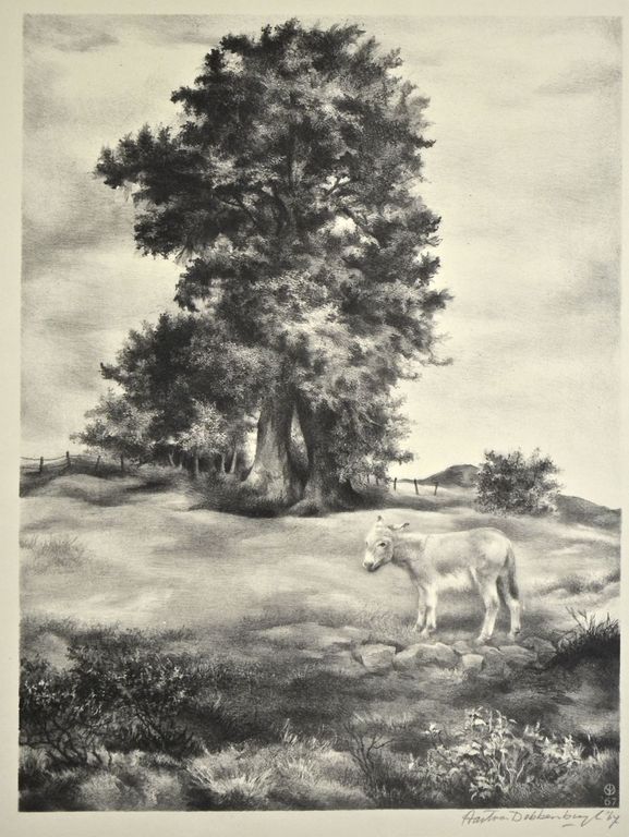 Aart van Dobbenburgh: Litho. Ezel in wei kopen? Bied vanaf 20!