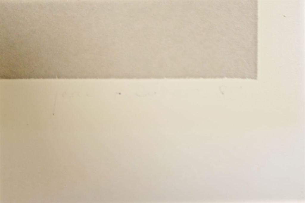 Jean Ruiter: C-Print, Zonder titel kopen? Bied vanaf 1!