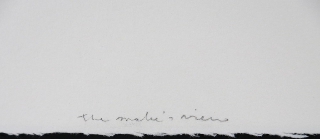 Rinke Nijburg: Ets en litho, The snake's view  kopen? Bied vanaf 1!