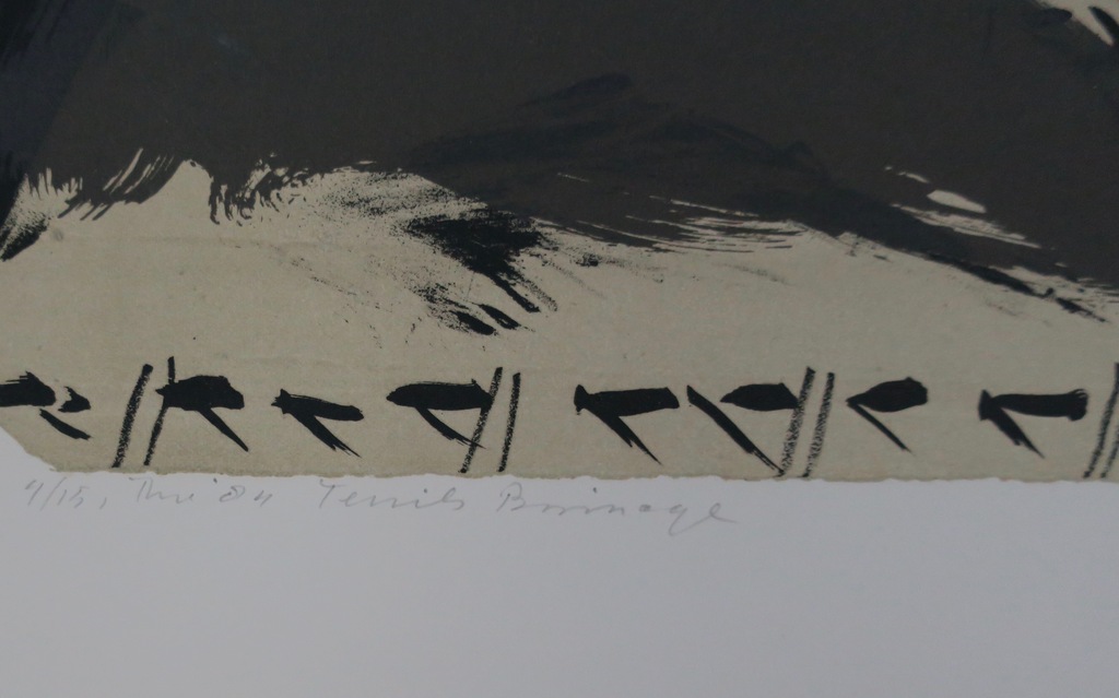 Theo Elfrink: Litho, Ternils (...) kopen? Bied vanaf 1!