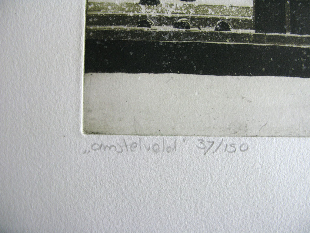 Laetitia de Haas - AMSTELVELD - kleurets kopen? Bied vanaf 1!