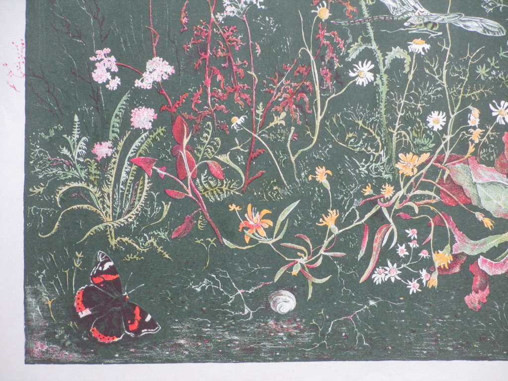 Wim Schuhmacher, Planten en insekten, Kleurenlitho kopen? Bied vanaf 30!