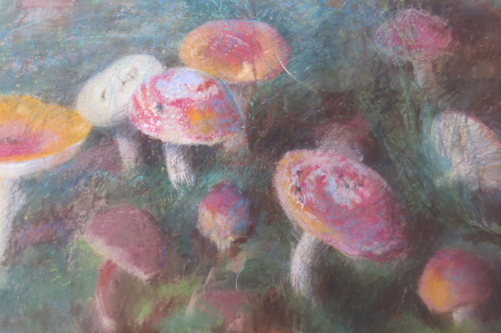 Koeman,Jac.J - Paddestoelen - 1922 - Aquarel kopen? Bied vanaf 175!