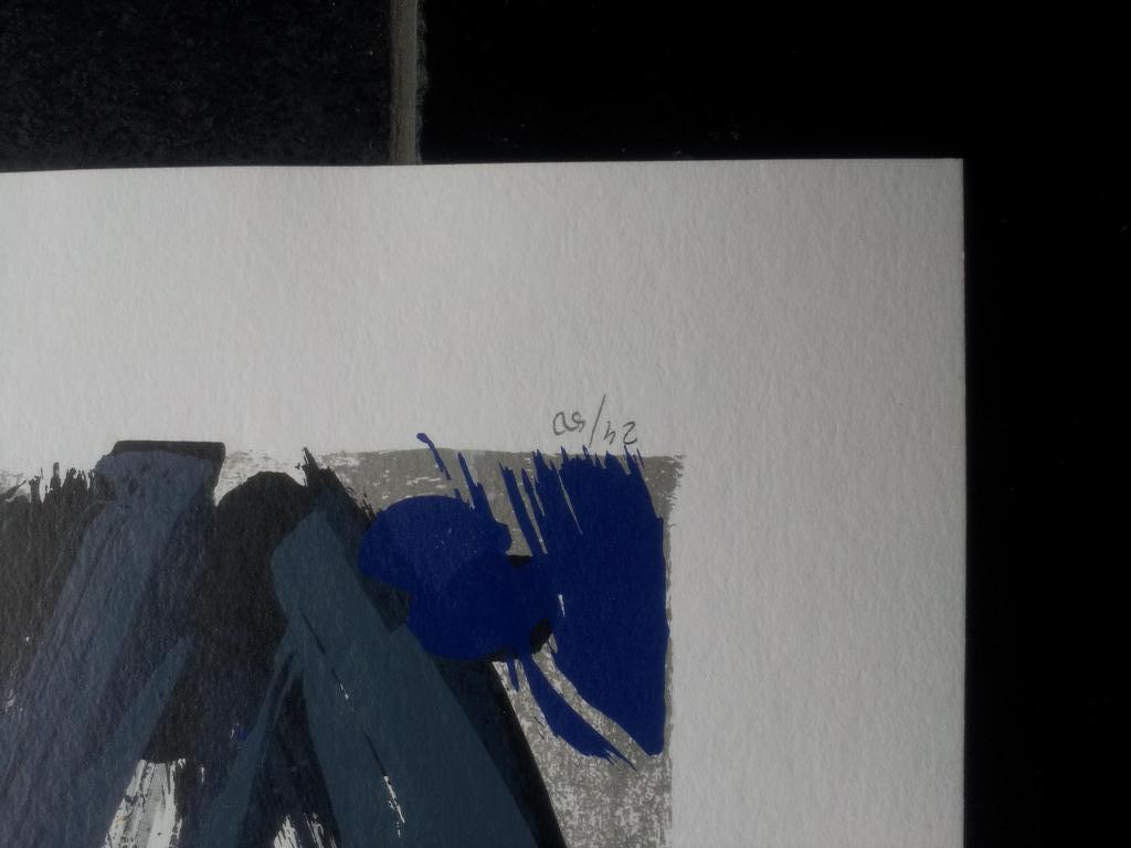 Ad van Hassel Gesigneerde Zeefdruk Grijze Tulpen Oplage 50 Ex kopen? Bied vanaf 1!