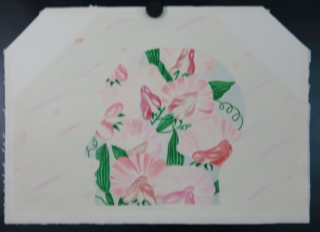 Harry Vink: Aquarel en drybrush, Erotomaan kopen? Bied vanaf 1!