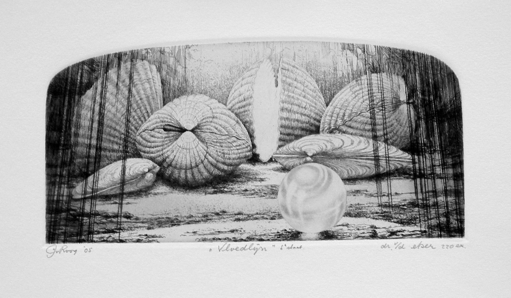 Gerard van Rooy, ets en aquatint: Vloedlijn verkocht voor € 35!