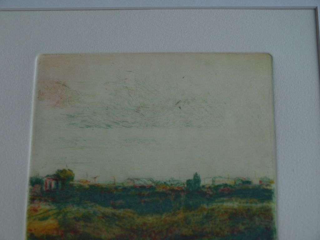 Wendelien Schönfeld : Kleurenets –Braakland III – gesigneerd & ingelijst - 1978  kopen? Bied vanaf 1!