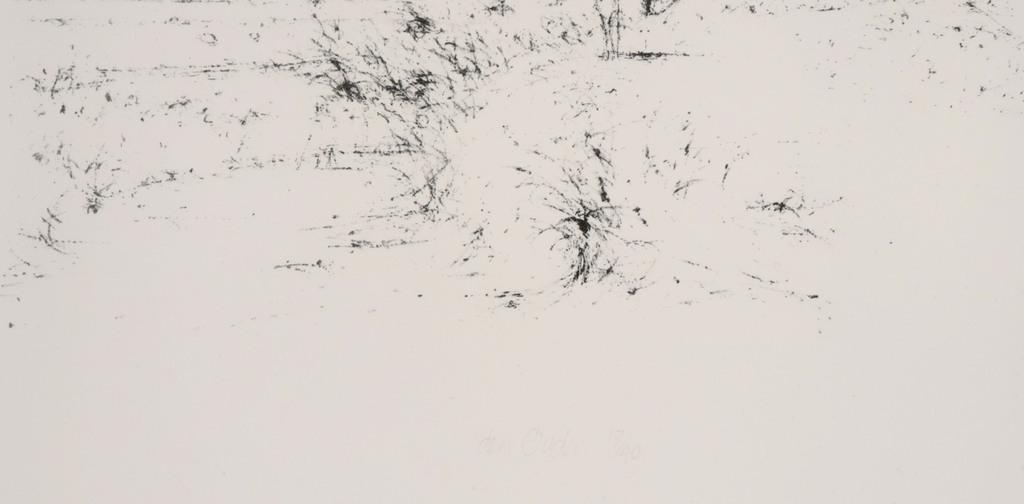 Willem den Ouden: Litho, Z.T. landschap kopen? Bied vanaf 1!