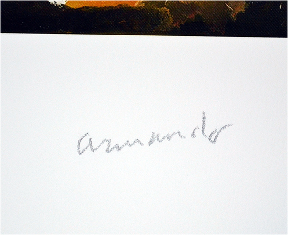 Armando, "Das Buch", kleuren giclee, gesigneerd, oplage 25, 2015 kopen? Bied vanaf 185!