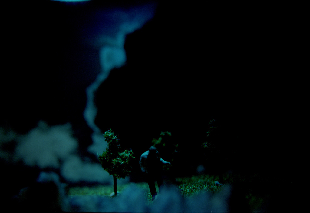 Mijn Mooie Wereld (42) 1-5 verkocht voor € 50!