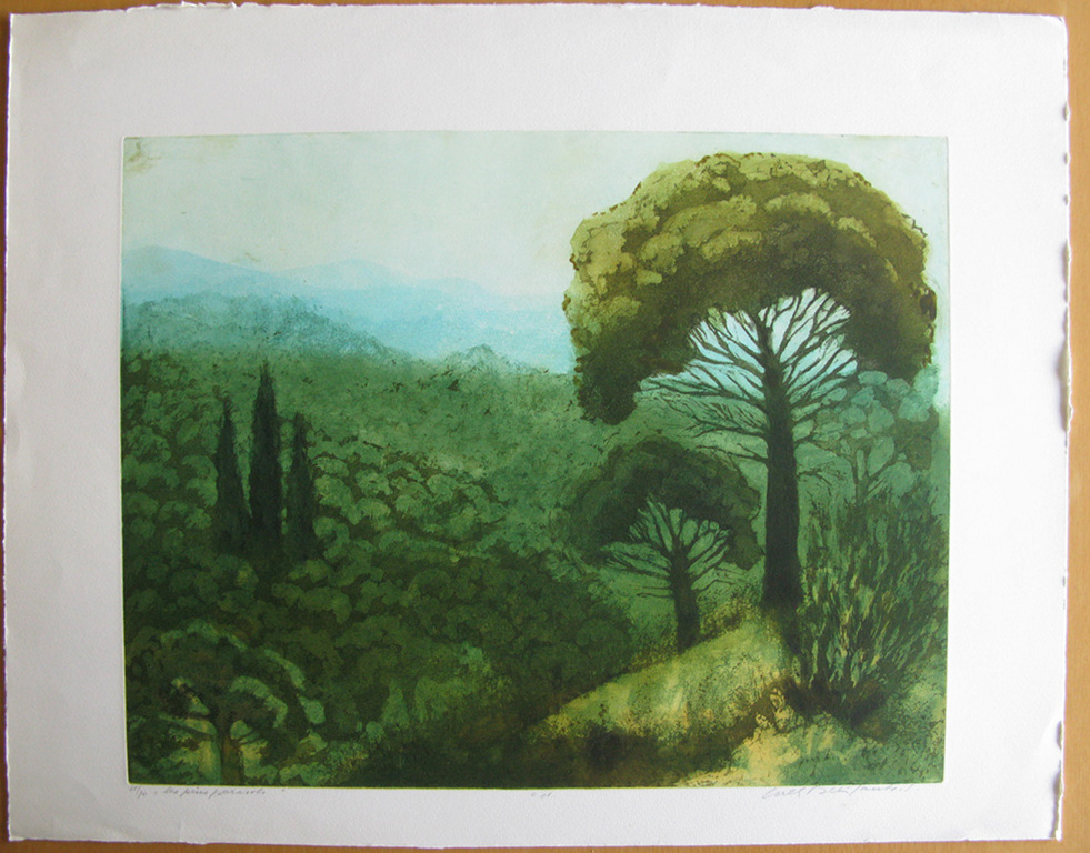 Willy Belinfante (1922-2014) - LES PINS PARASOLS - kleurets kopen? Bied vanaf 1!