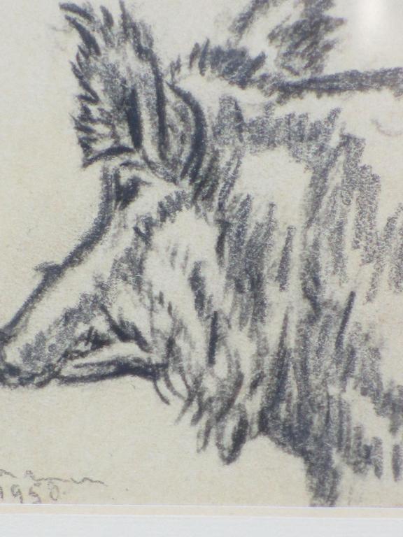 J.H.Kaemmerer, Wild Zwijn, Tekening kopen? Bied vanaf 1!