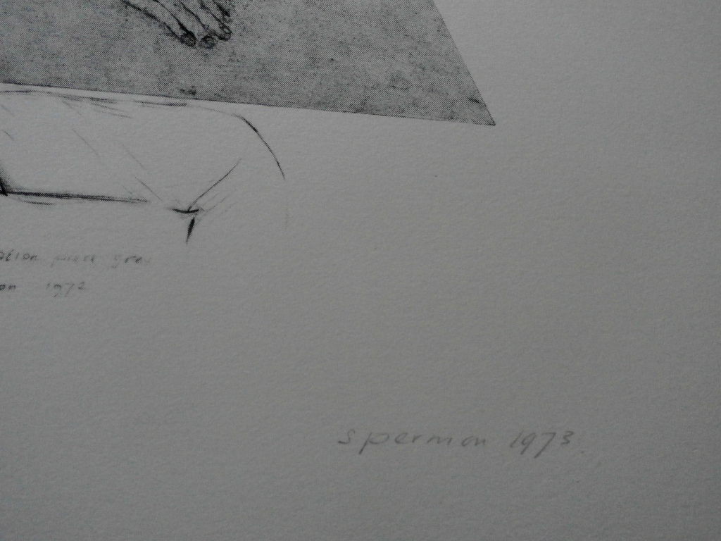 Kees Spermon - Kees Spermon - zeefdruk: conversation piece grey - 1973 kopen? Bied vanaf 45!