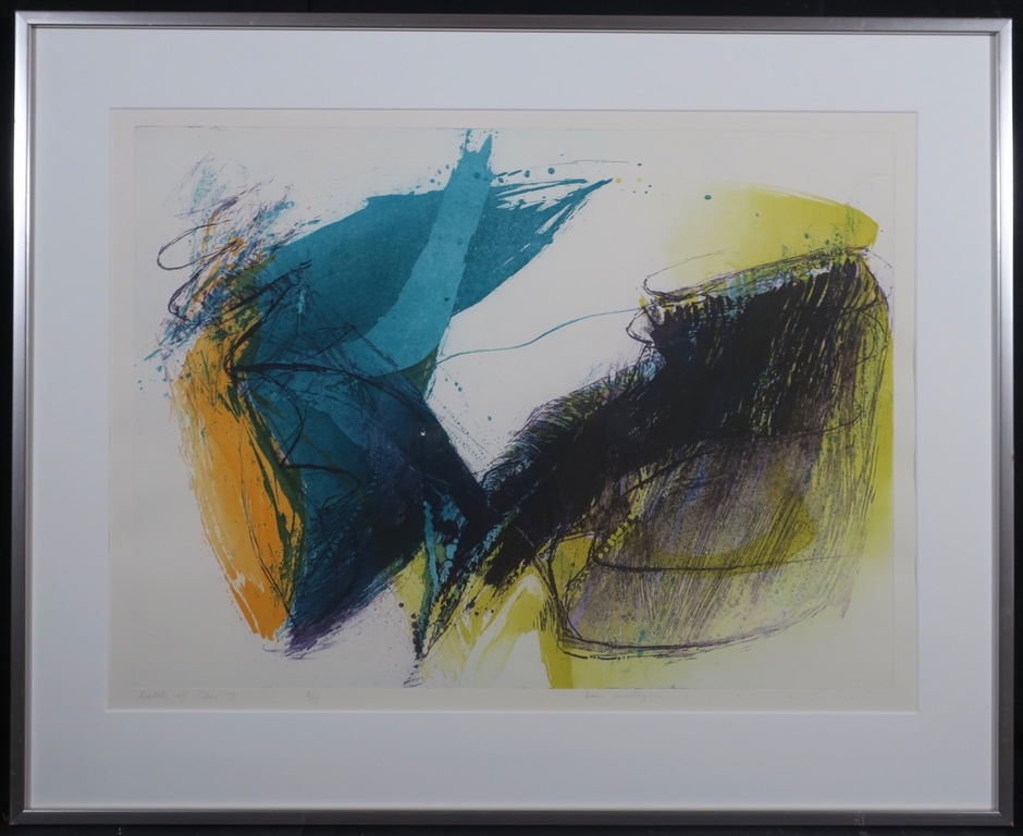 Hans Vredegoor: Ets en Aquatint, Battle of Eden II - Ingelijst verkocht voor € 40!