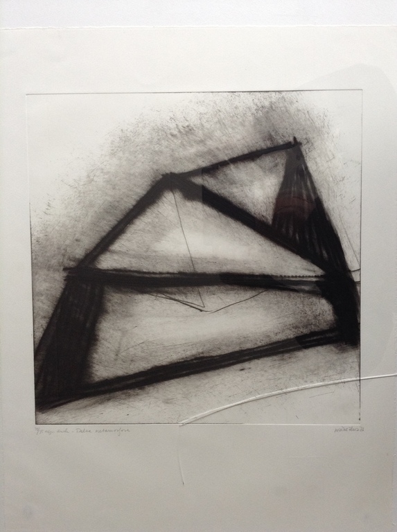 Delta metamorfose Ets Maaike Alma kopen? Bied vanaf 45!