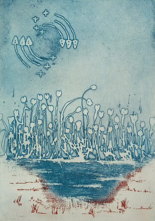 Jan Montyn - Waterbloemen West Bengalen, aquatint ets kopen? Bied vanaf 150!