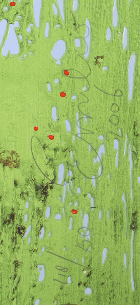 Emilio Kruithof: Zeefdruk, Sold all my evil motives (groot) kopen? Bied vanaf 250!