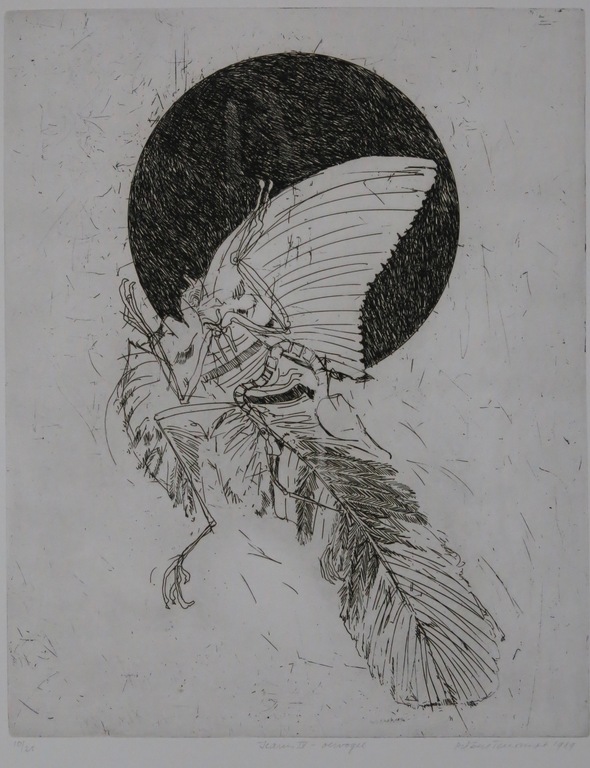 Robert Terwindt: Ets, Icarus VI Oervogel kopen? Bied vanaf 20!