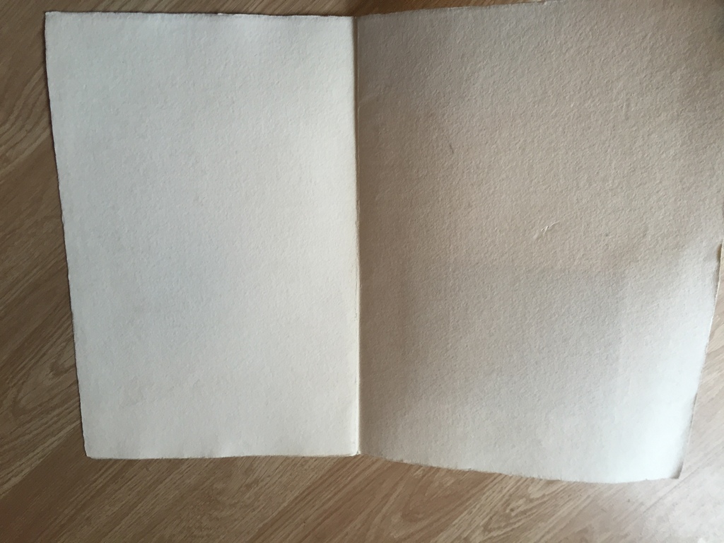 CORNEILLE zeefdruk / Litho E/A 1989 kopen? Bied vanaf 35!