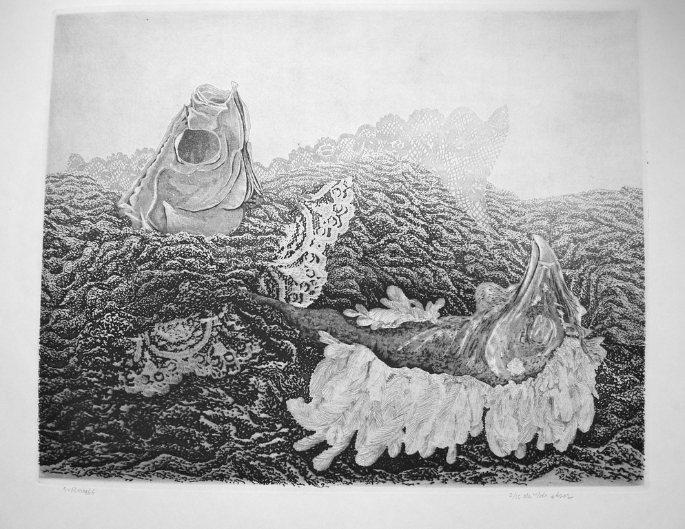 Gerard van Rooy, ets/aquatint/suikeraquatint: 'Vissenkop en hanenkop' kopen? Bied vanaf 30!