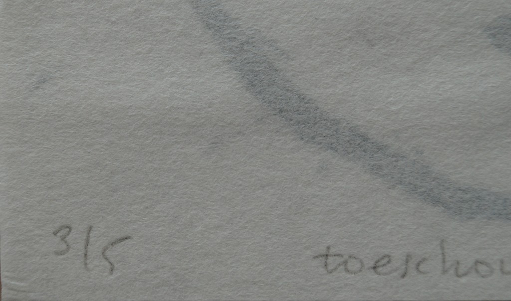 Christiaan van Tol - gesigneerd en genummerd werk op papier - 1995 kopen? Bied vanaf 9!