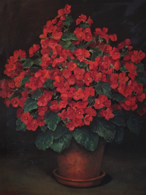 Prachtig GROOT gesigneerd "Grootveld 1949" stilleven van rode potplant Begonia?  kopen? Bied vanaf 1!