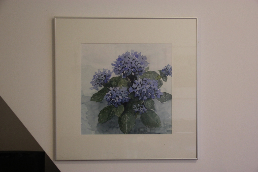 aquarel Hortensia blauw ,Mees Douglas kopen? Bied vanaf 110!