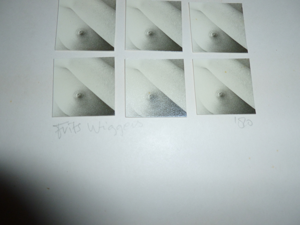 Tof werk van Frits Wiggers (Den Haag 1945).Foto-papiercollage. kopen? Bied vanaf 12!