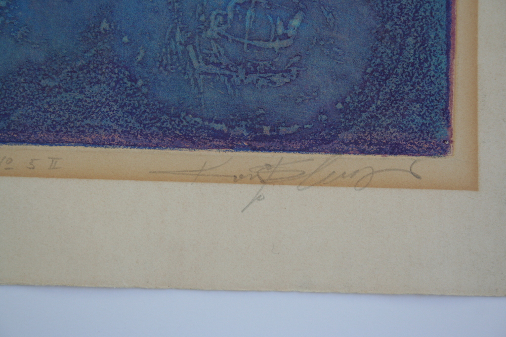Koos van der Sluys, ets no 5 II genummerd 8/10, gesigneerd kopen? Bied vanaf 5!