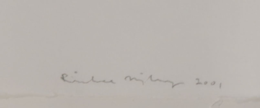 Rinke Nijburg: Ets en Litho, The snake's view - Ingelijst kopen? Bied vanaf 1!
